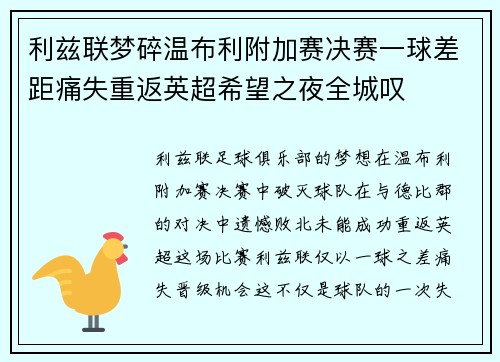 利兹联梦碎温布利附加赛决赛一球差距痛失重返英超希望之夜全城叹 利兹联梦碎温布利附加赛决赛一球差距痛失重返英超希望之夜全城叹